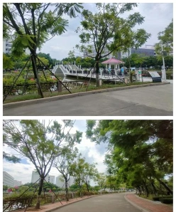 环境监测