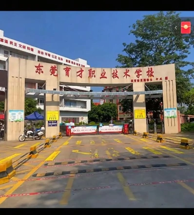 实训
