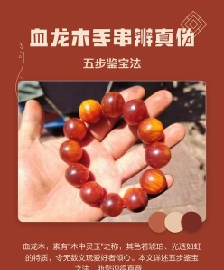 文物鉴定