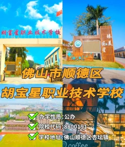 专业