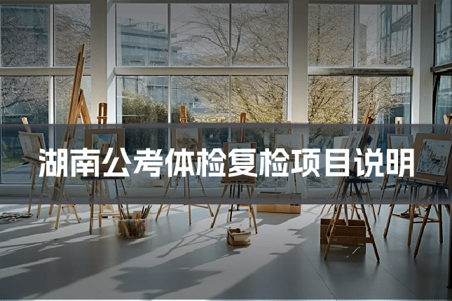 湖南公考体检复检项目说明