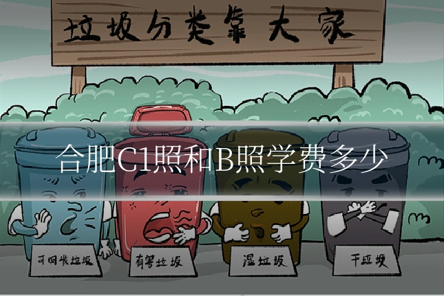 合肥C1照和B照学费多少