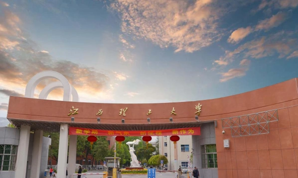 综合性大学