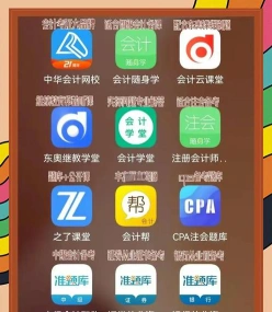 会计软件