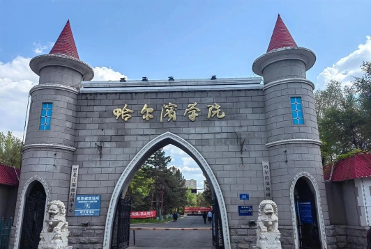大学