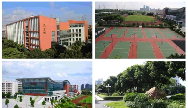 学院