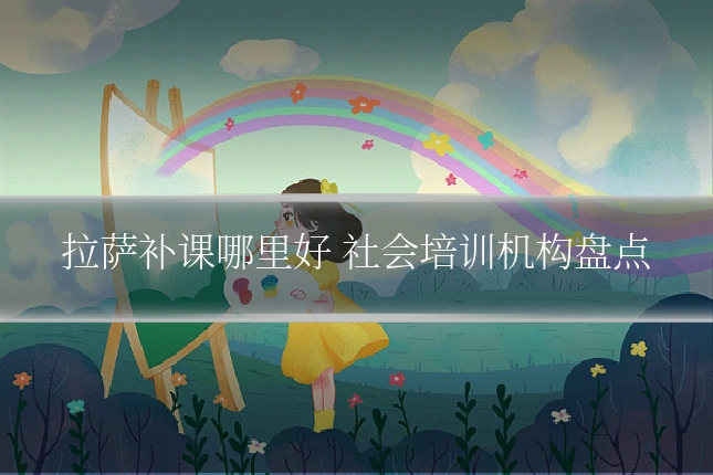 拉萨补课哪里好 社会培训机构盘点