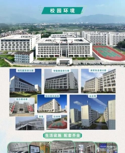 专业