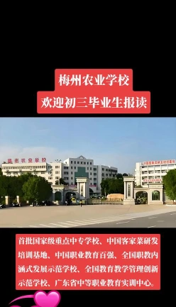 技术