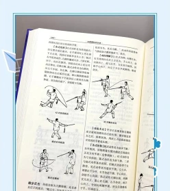 武术