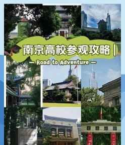 仙林