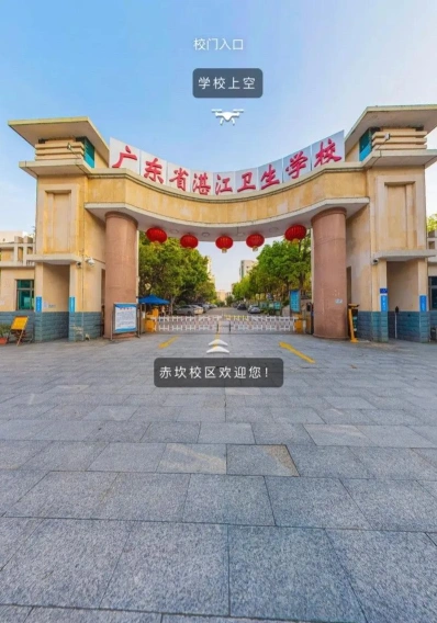 专业