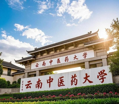 中医药大学