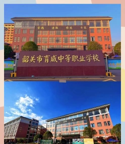 能力