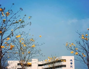 专业