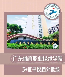 体育管理