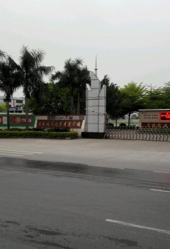 就业方向