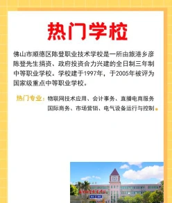 专业