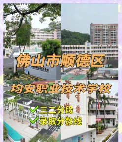 专业