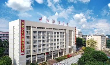 专业
