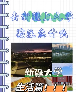 能力
