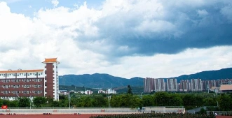 专业