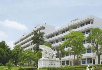 中心