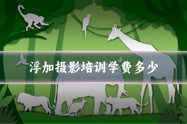浮加摄影培训学费多少