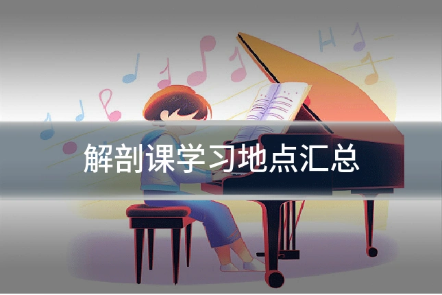解剖课学习地点汇总