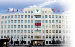专业
