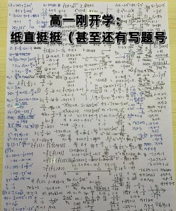 论文