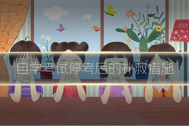 自学考试停考后的补救措施