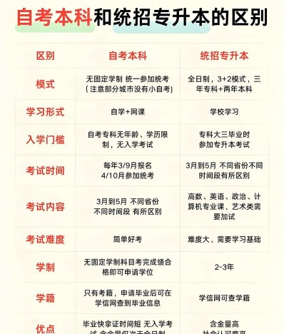 学校