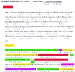 记忆