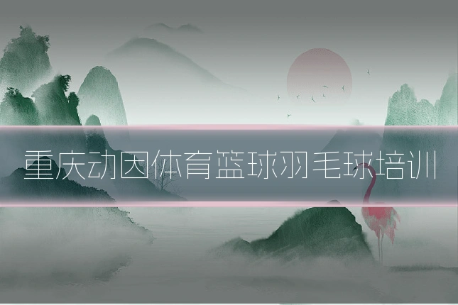 重庆动因体育篮球羽毛球培训
