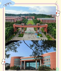 学院
