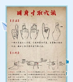 学习中医