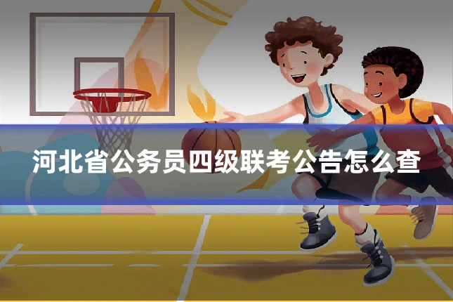 河北省公务员四级联考公告怎么查
