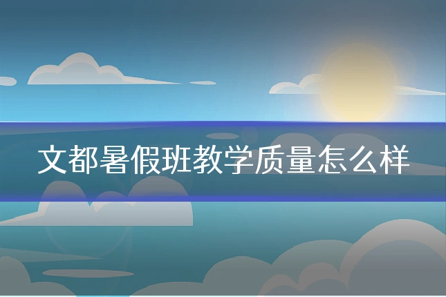 文都暑假班教学质量怎么样
