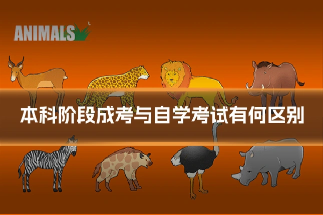 本科阶段成考与自学考试有何区别