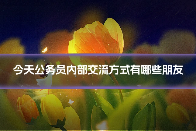 今天公务员内部交流方式有哪些朋友