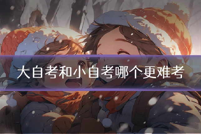 大自考和小自考哪个更难考