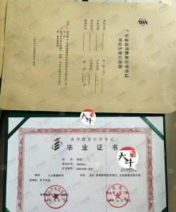 大自考