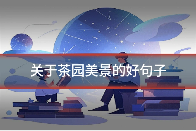 关于茶园美景的好句子