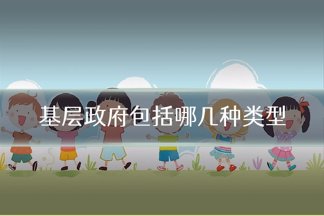 基层政府包括哪几种类型