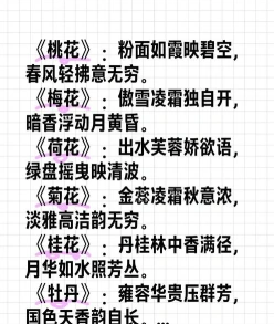 女人如花