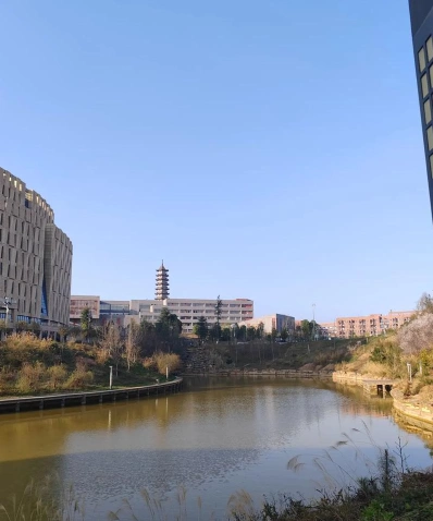 公办大学