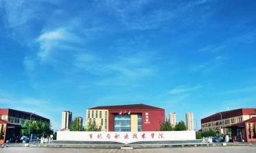 职业技术学院