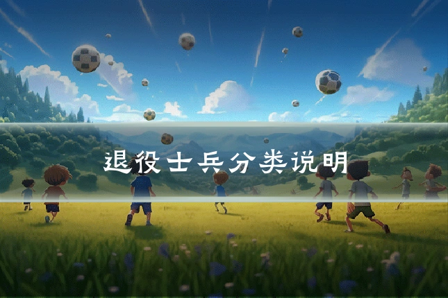 退役士兵分类说明