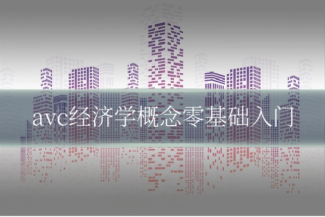 avc经济学概念零基础入门